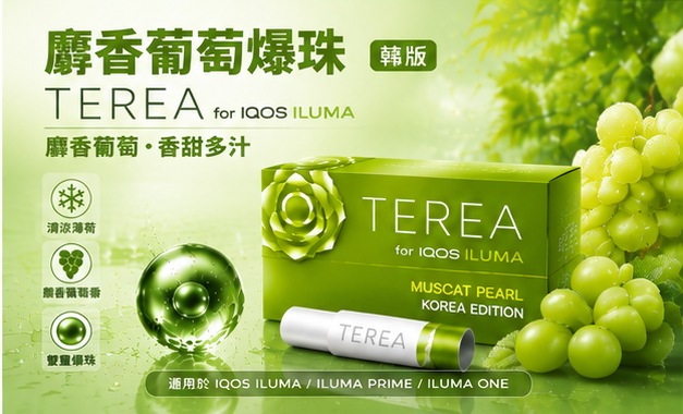 韓國版青提爆珠 IQOS TEREA SHINE PEARL煙彈 IQOS加熱菸主機專用